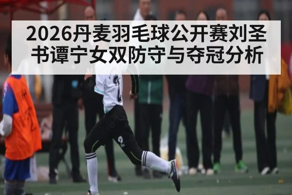 2026丹麦羽毛球公开赛刘圣书谭宁女双防守与夺冠分析