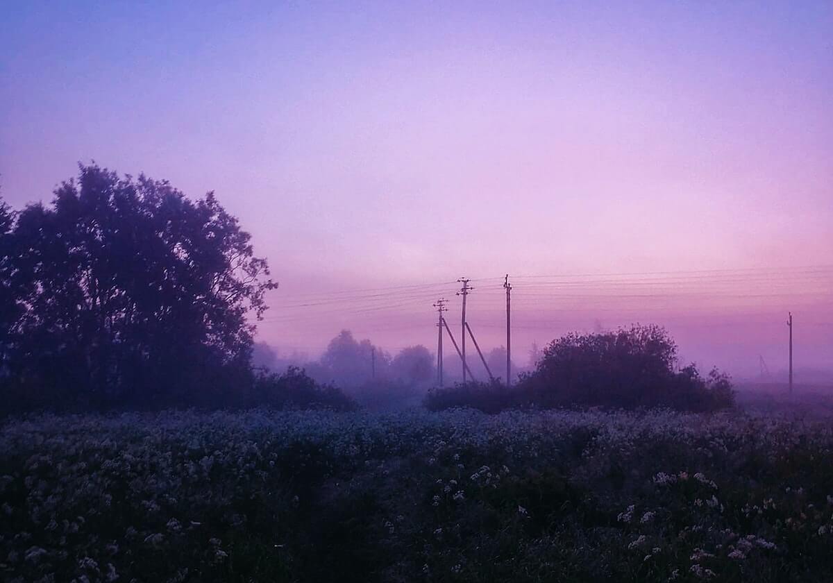 世界杯app下载-距离新赛季训练营仅剩12天 猛龙仍未确定主场在哪